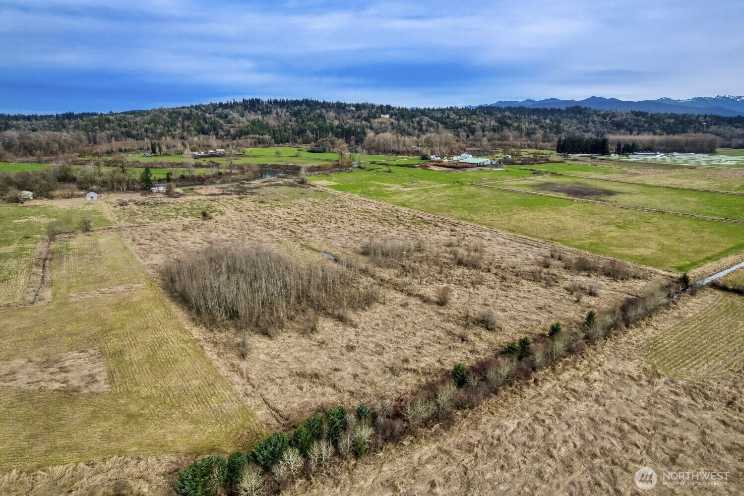 27411 Northeast 100th Street Carnation, WA 98014 - Photo 4 of 15
