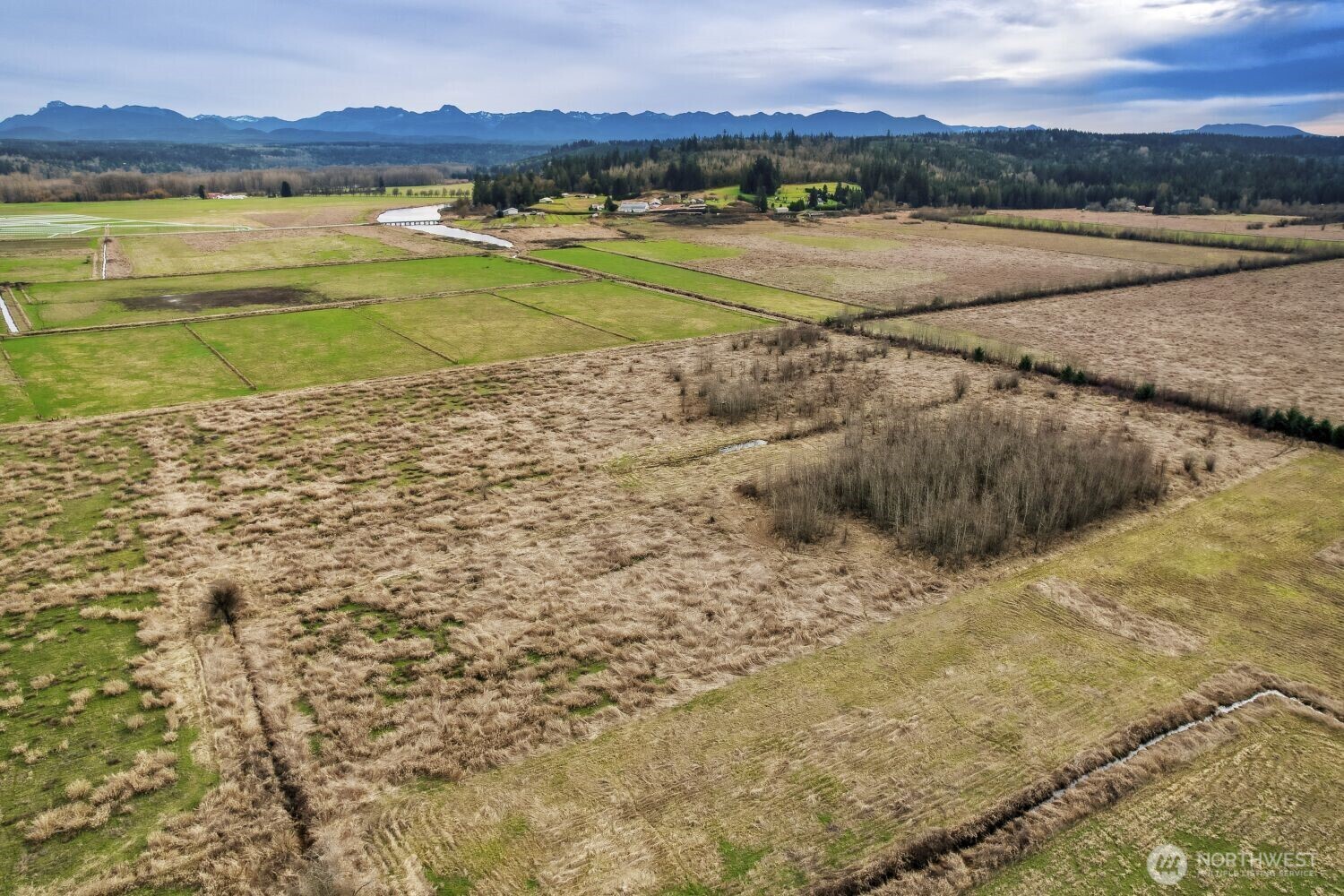 27411 Northeast 100th Street Carnation, WA 98014 - Photo 5 of 15