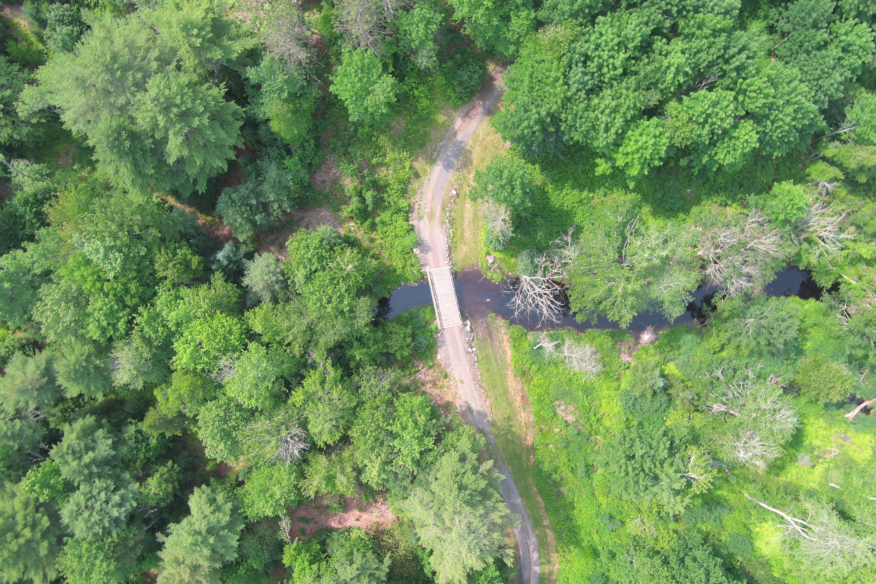 660 Sprague Road Waldoboro, ME 04572 - Photo 44 of 45 Access road