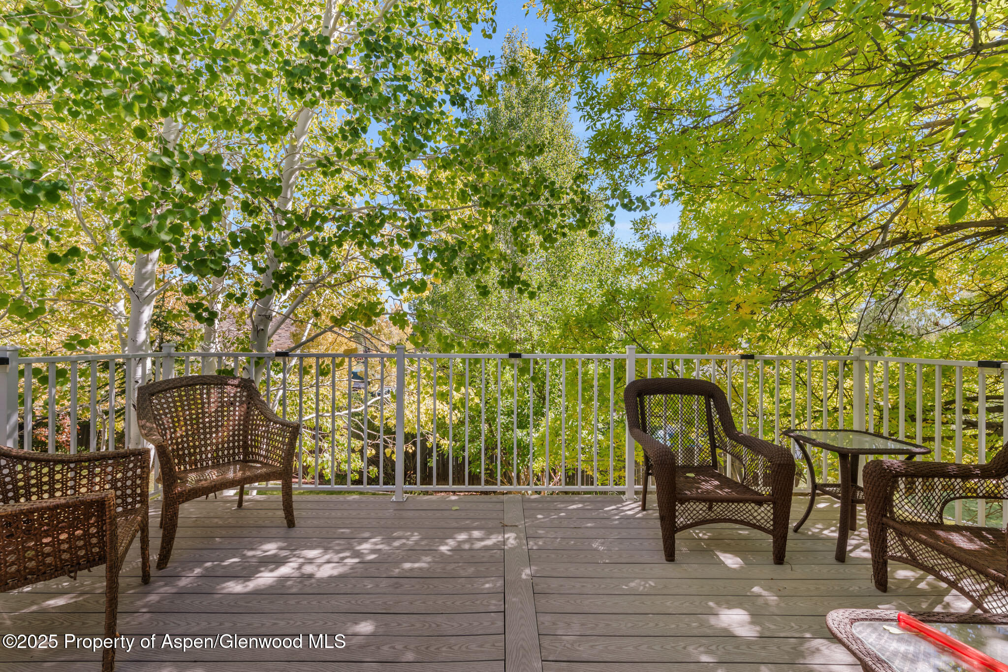 3435 Lenox Road Craig, CO 81625 - Photo 9 of 36 IMGP0481_2_3