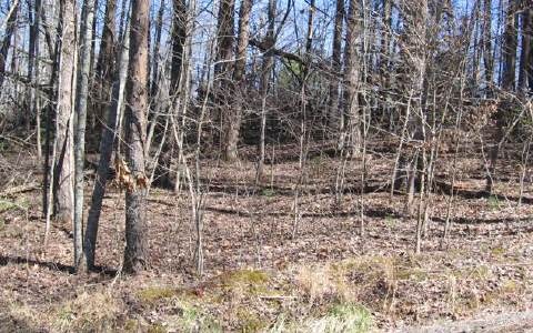 38 Hy Top Road Young Harris, GA 30582 - Photo 3 of 4 Additional View