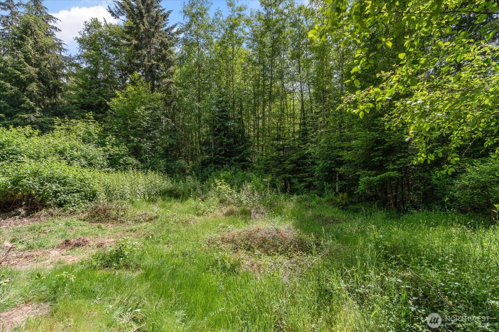 1376 Silver Lake Road Oak Harbor, WA 98277 - Photo 23 of 30