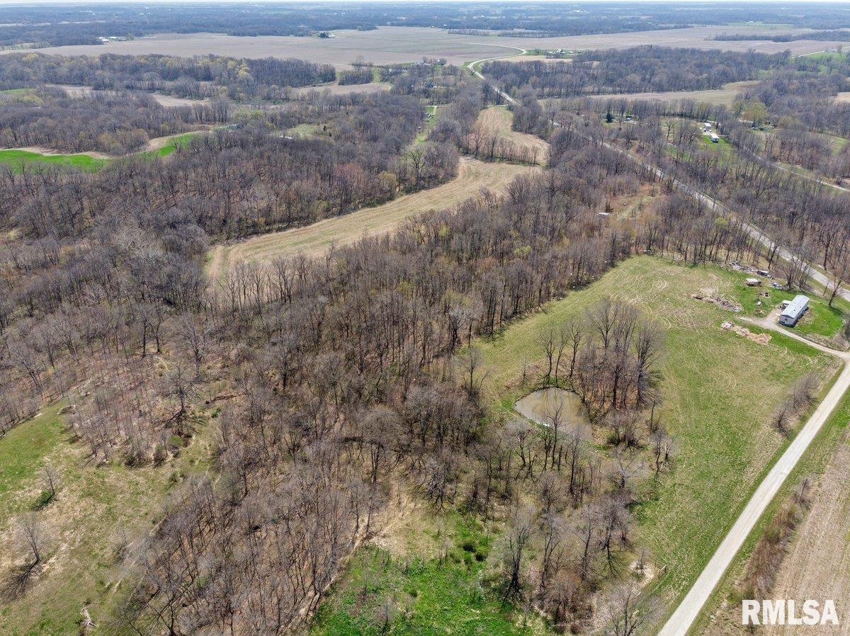 0 Hettick Scottville Road Hettick, IL 62649 - Photo 8 of 16 Gallery Image 8