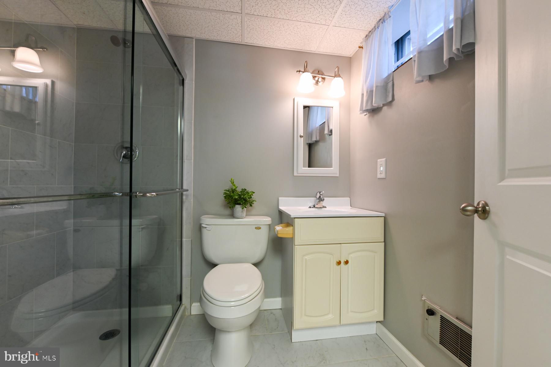 7867 Chestnut Leaf Road Severn, MD 21144 - Photo 32 of 49 Basement full bath ( 2023)