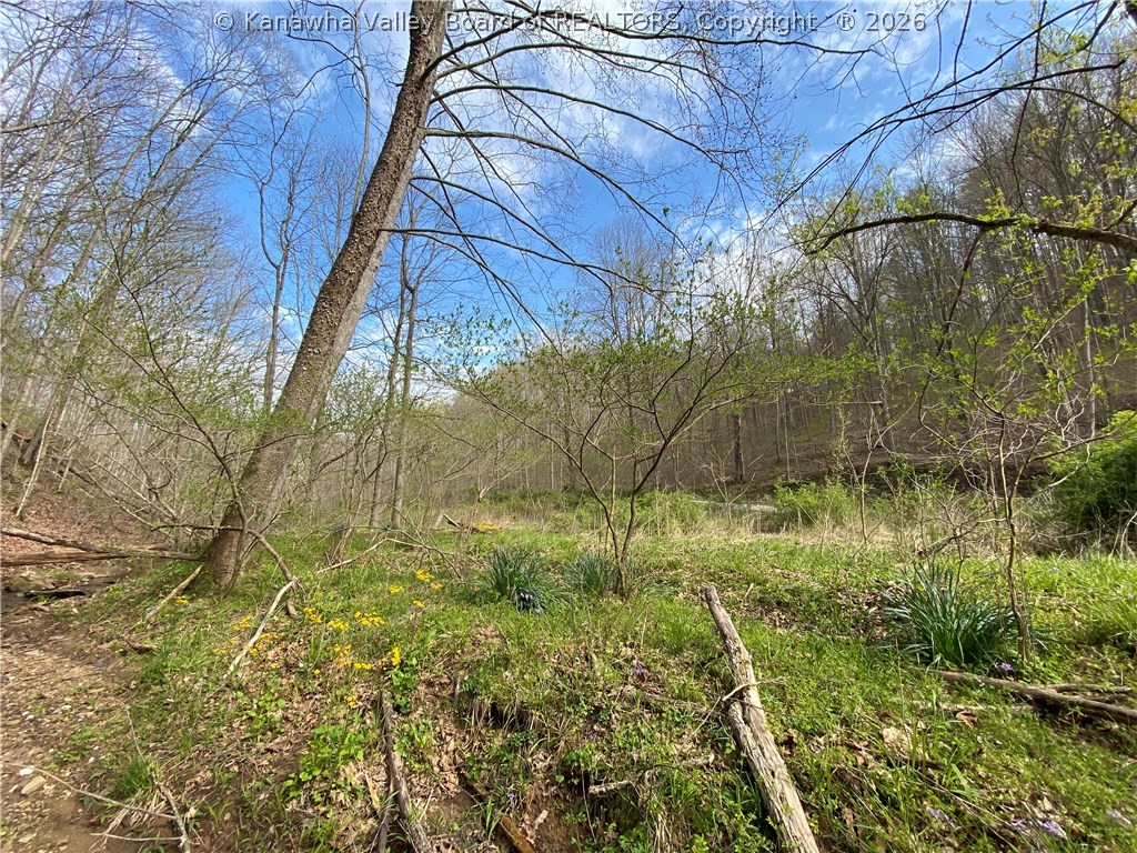 0 2nd Creek Road Kenna, WV 25248 - Photo 23 of 47 Gallery Image 23