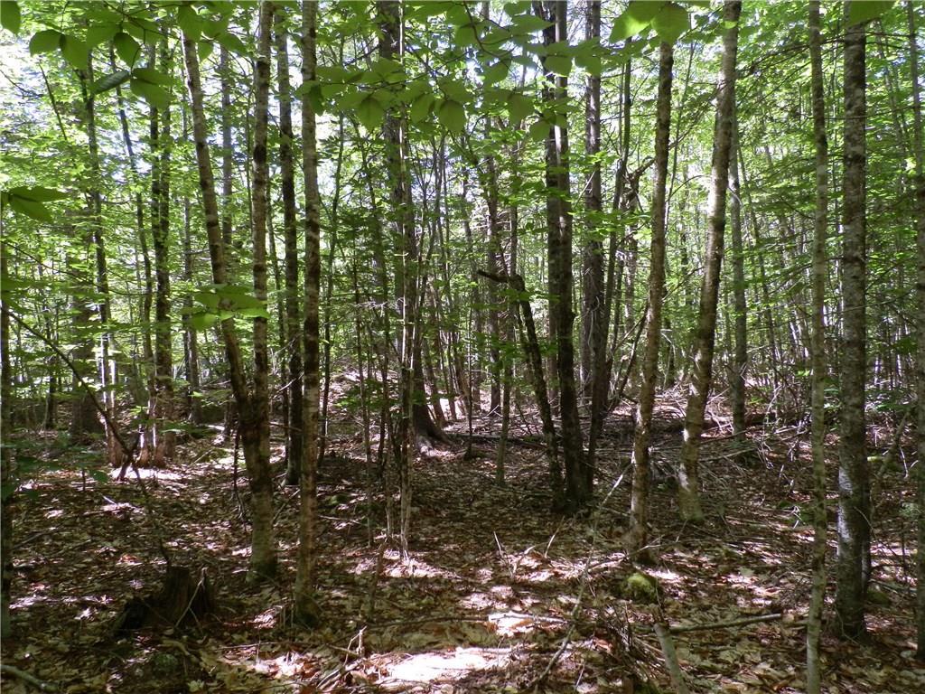 Lot 63 Eleanor Mae Road Deblois, ME 04622 - Photo 16 of 23 Photo