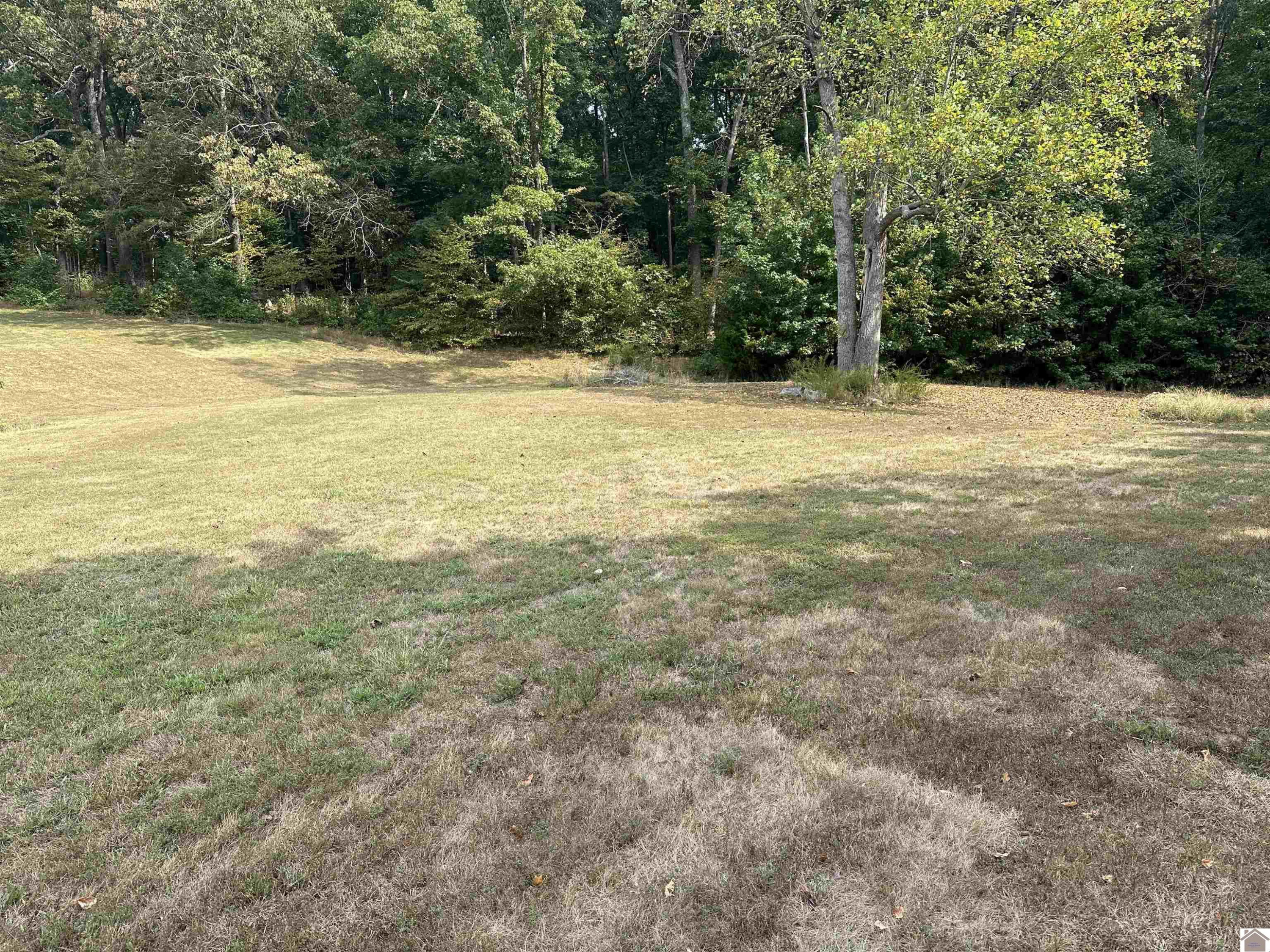 0 Linton Road Cadiz, KY 42211 - Photo 3 of 6 Photo 3