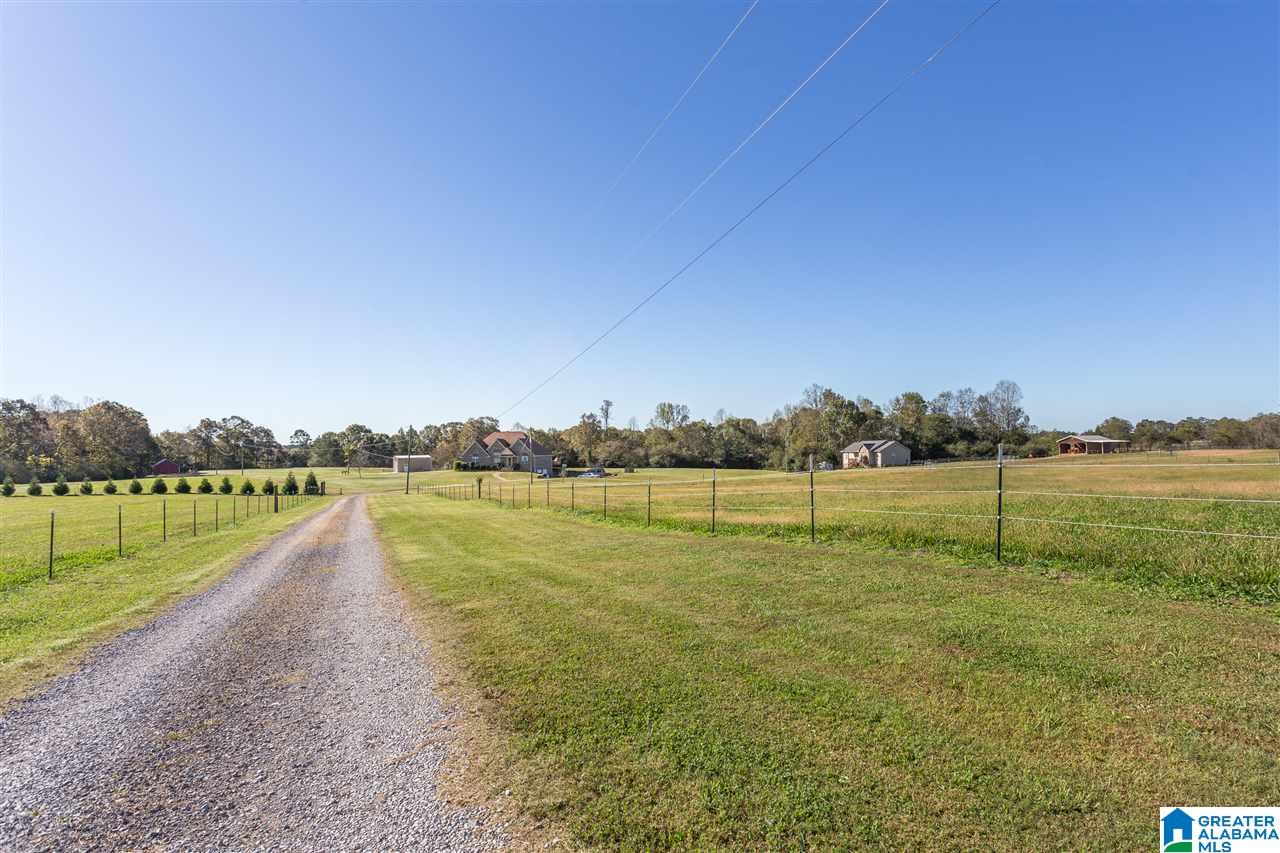 310 Deer Trail Road Cleveland, AL 35049 - Photo 4 of 40