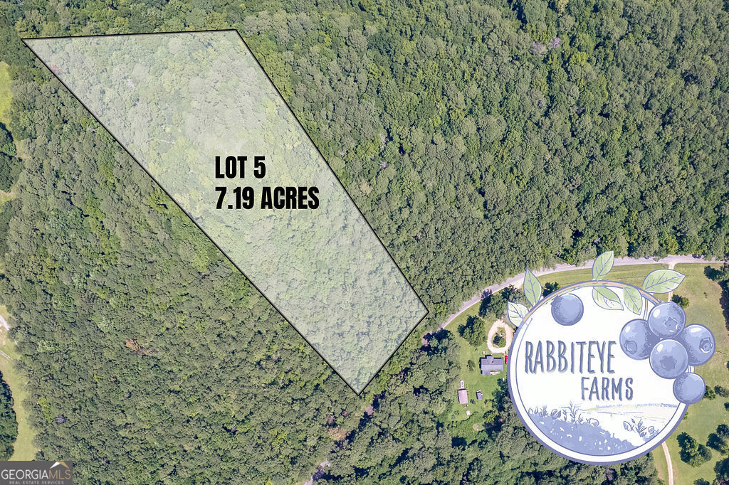 Lot 5 Haynes Road Moreland, GA 30259 - Photo 2 of 2 Gallery Image 2