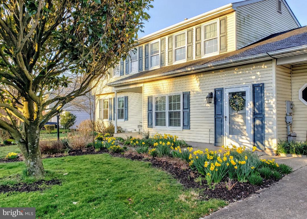 Spring Daffodils line  walkway to both entrance