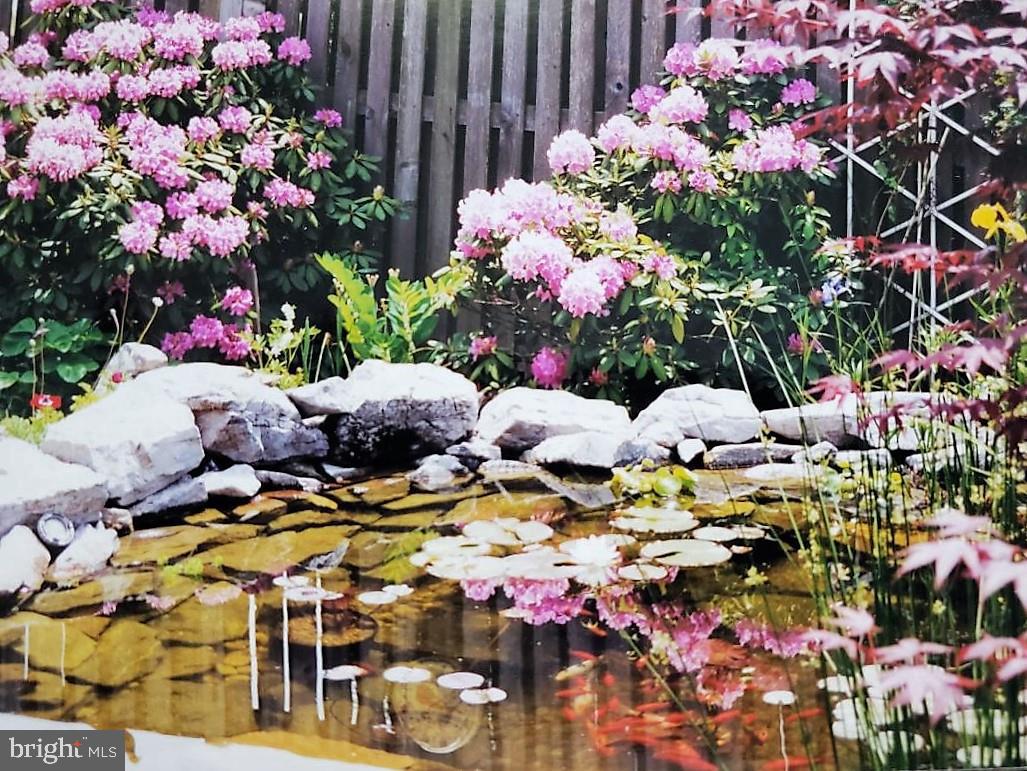 2177 Ambleside Court Frederick, MD 21702 - Photo 16 of 55 Nice view off DR/Kitchen windows Koi pond