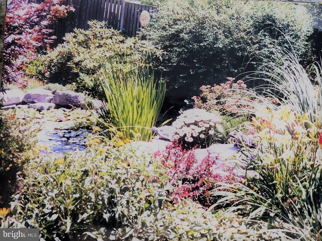 2177 Ambleside Court Frederick, MD 21702 - Photo 43 of 55 This is what the water garden looks like in bloom