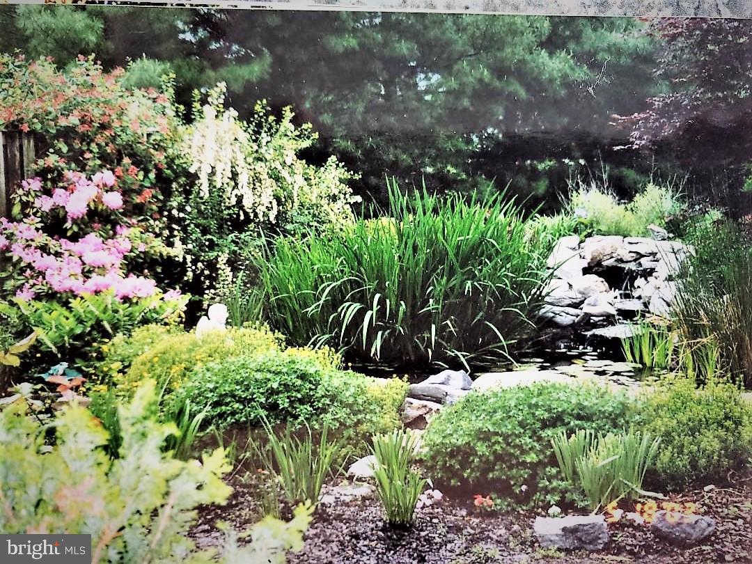2177 Ambleside Court Frederick, MD 21702 - Photo 6 of 55 Water garden in back, surrounded by stone w/ Koi