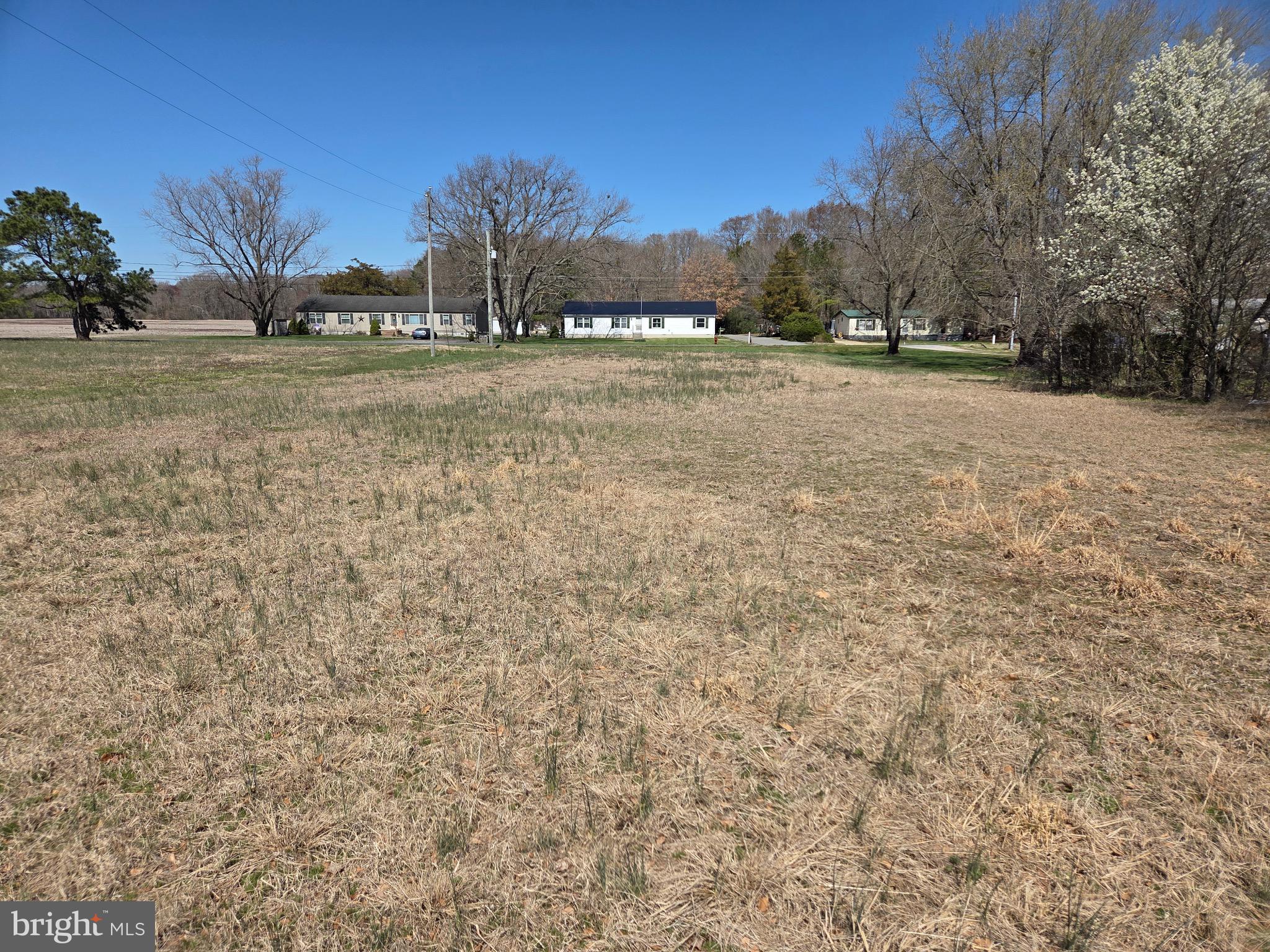 3 Three 3 Bridges Road Willards, MD 21874 - Photo 4 of 6 View from back of lot Lot 2