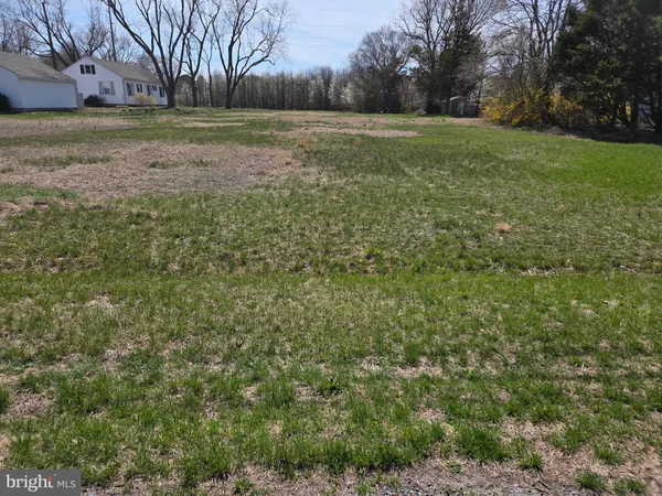 a view of a big yard with an trees
