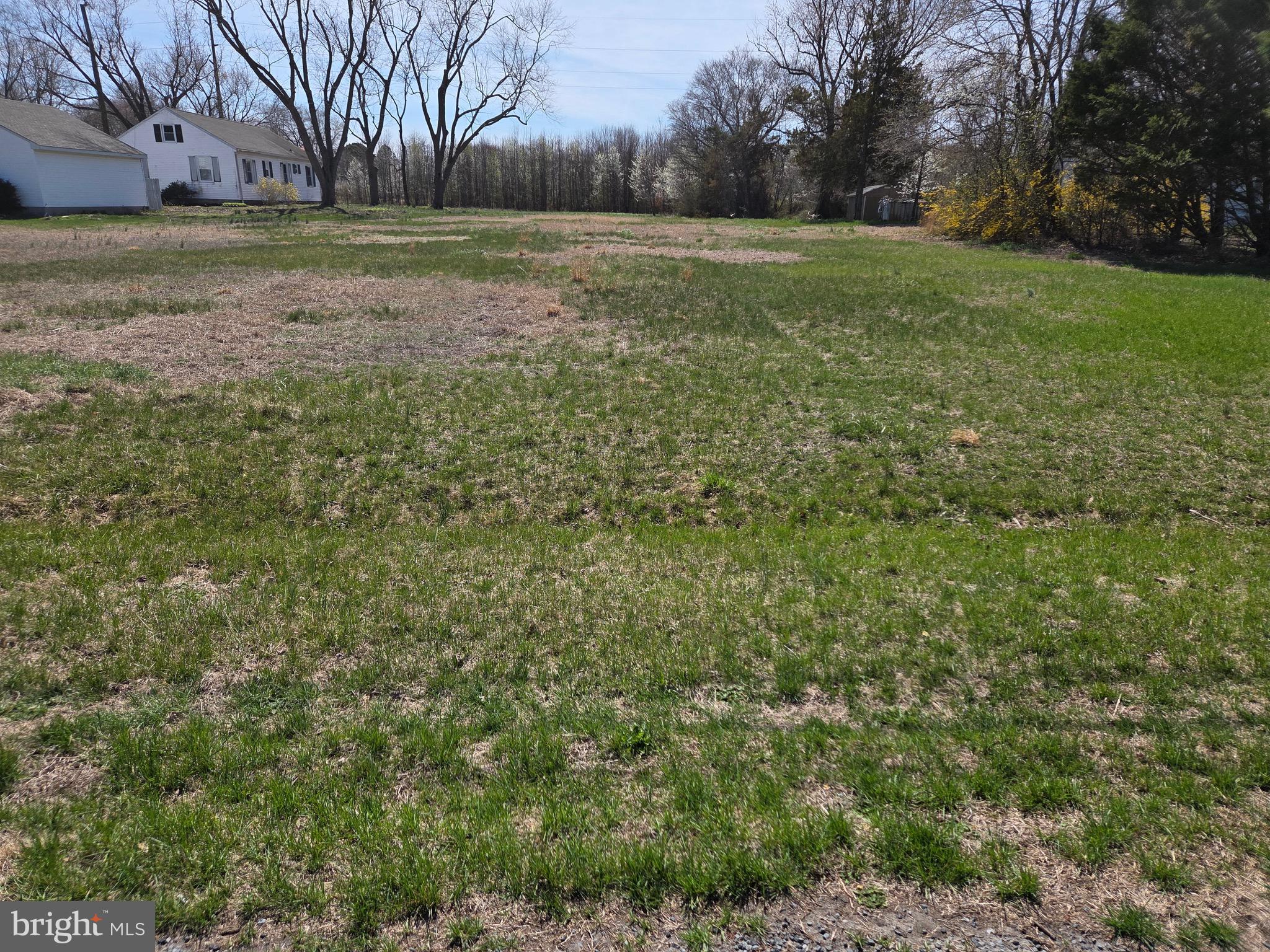 3 Three 3 Bridges Road Willards, MD 21874 - Photo 5 of 6 Lot 1 View from Road