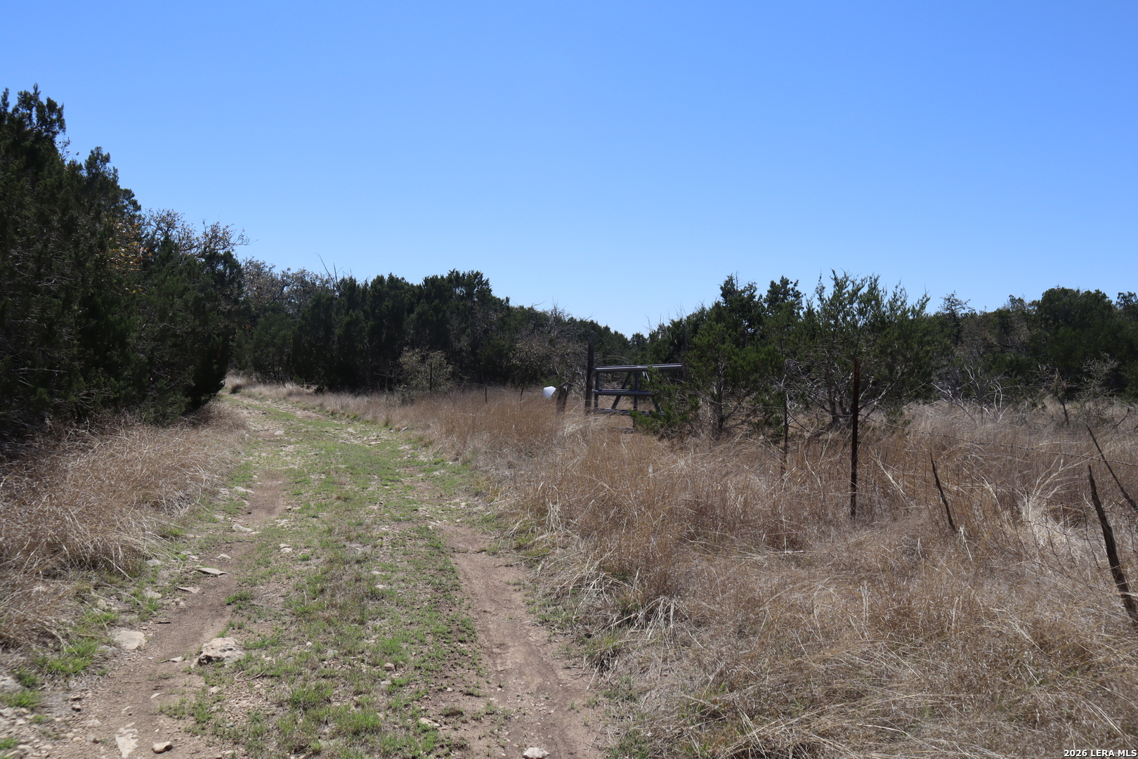 462 Schenk Witkowski Road Rocksprings, TX 78880 - Photo 57 of 63