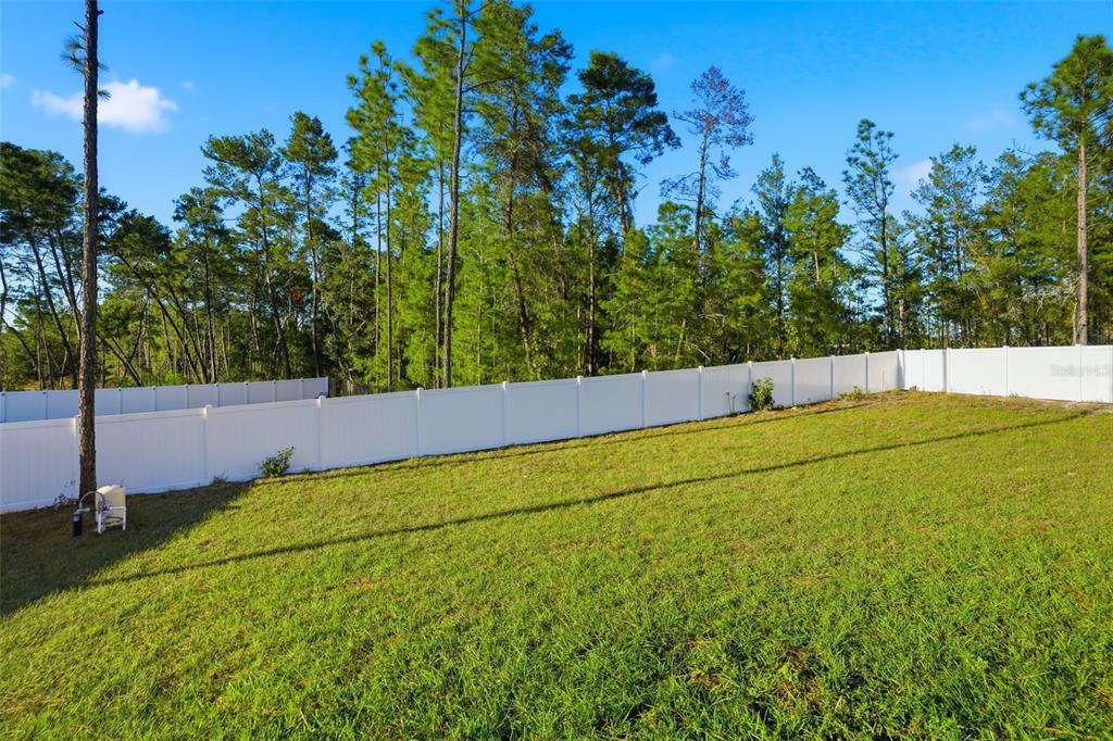 8549 Southwest 129 Lane Ocala, FL 34473 - Photo 29 of 31 a view of an outdoor space and a yard