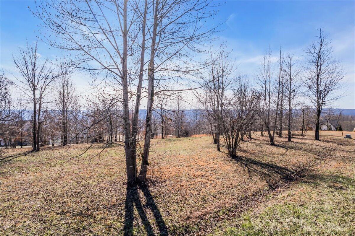 135 Sunset Circle Jasper, TN 37347 - Photo 7 of 49 12-DJI_0142