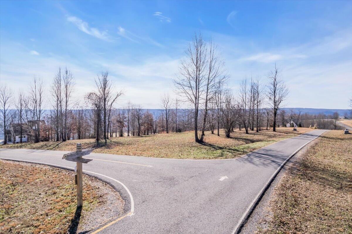 135 Sunset Circle Jasper, TN 37347 - Photo 8 of 49 11-DJI_0139