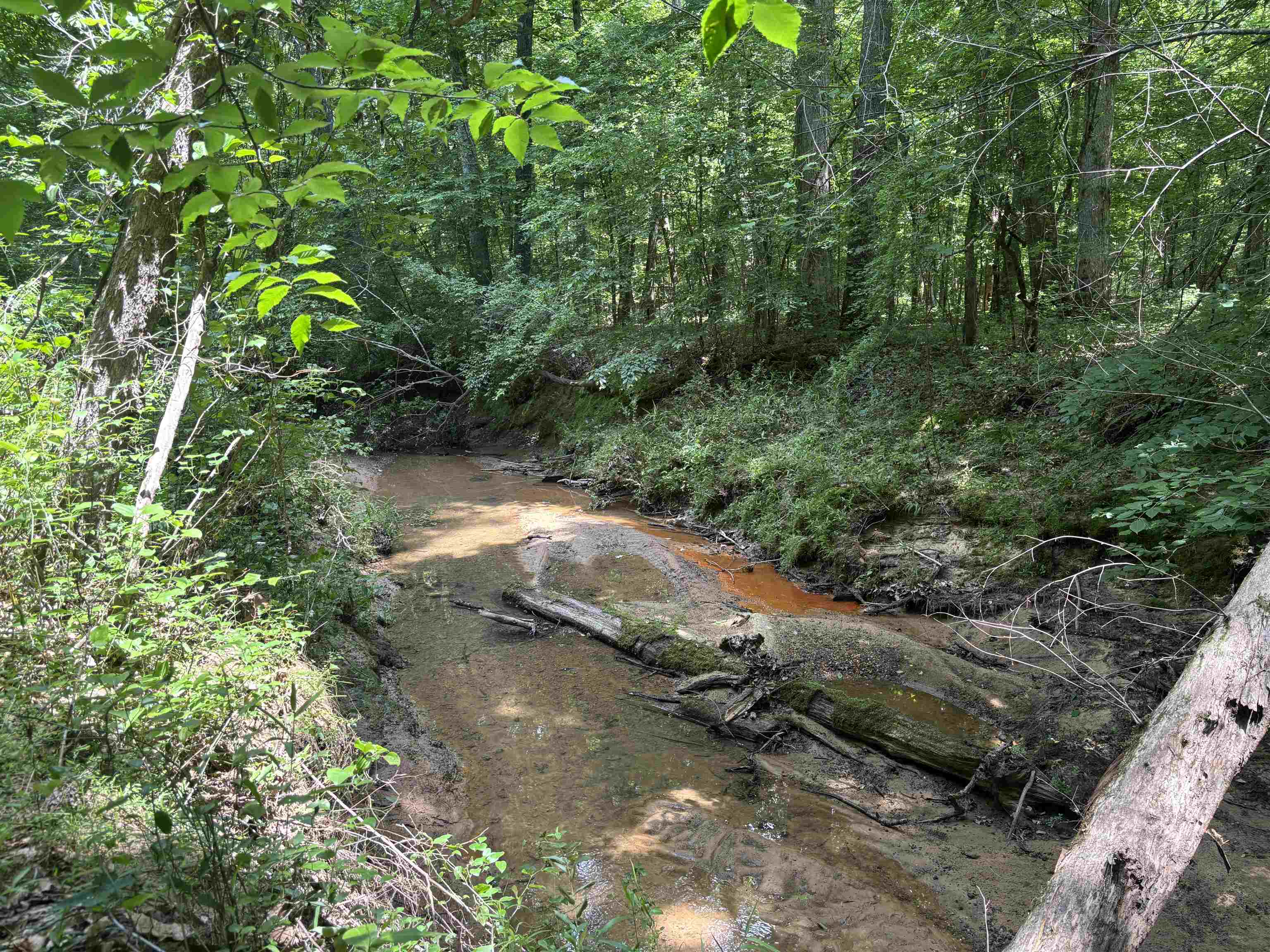 19.5-acres McMahan Road Middleton, TN 38052 - Photo 2 of 28