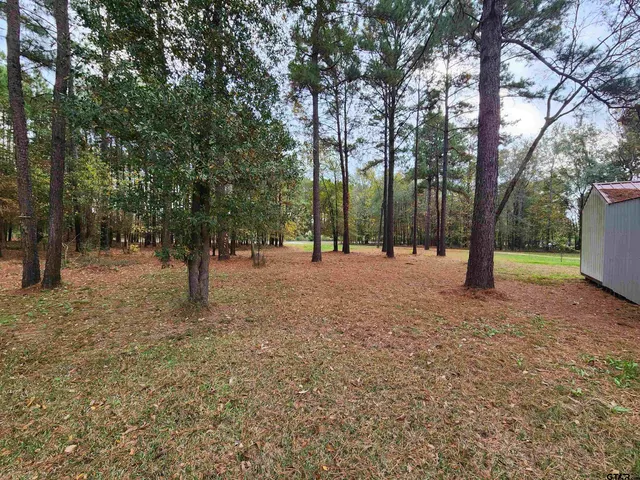 a view of a park with large trees