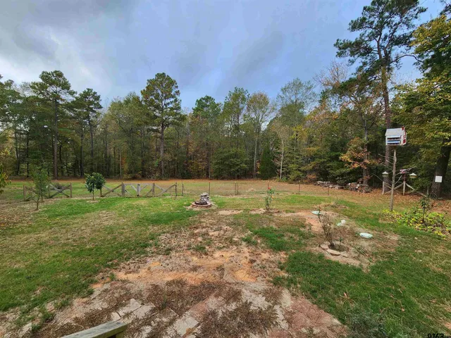 a view of a field with a tree