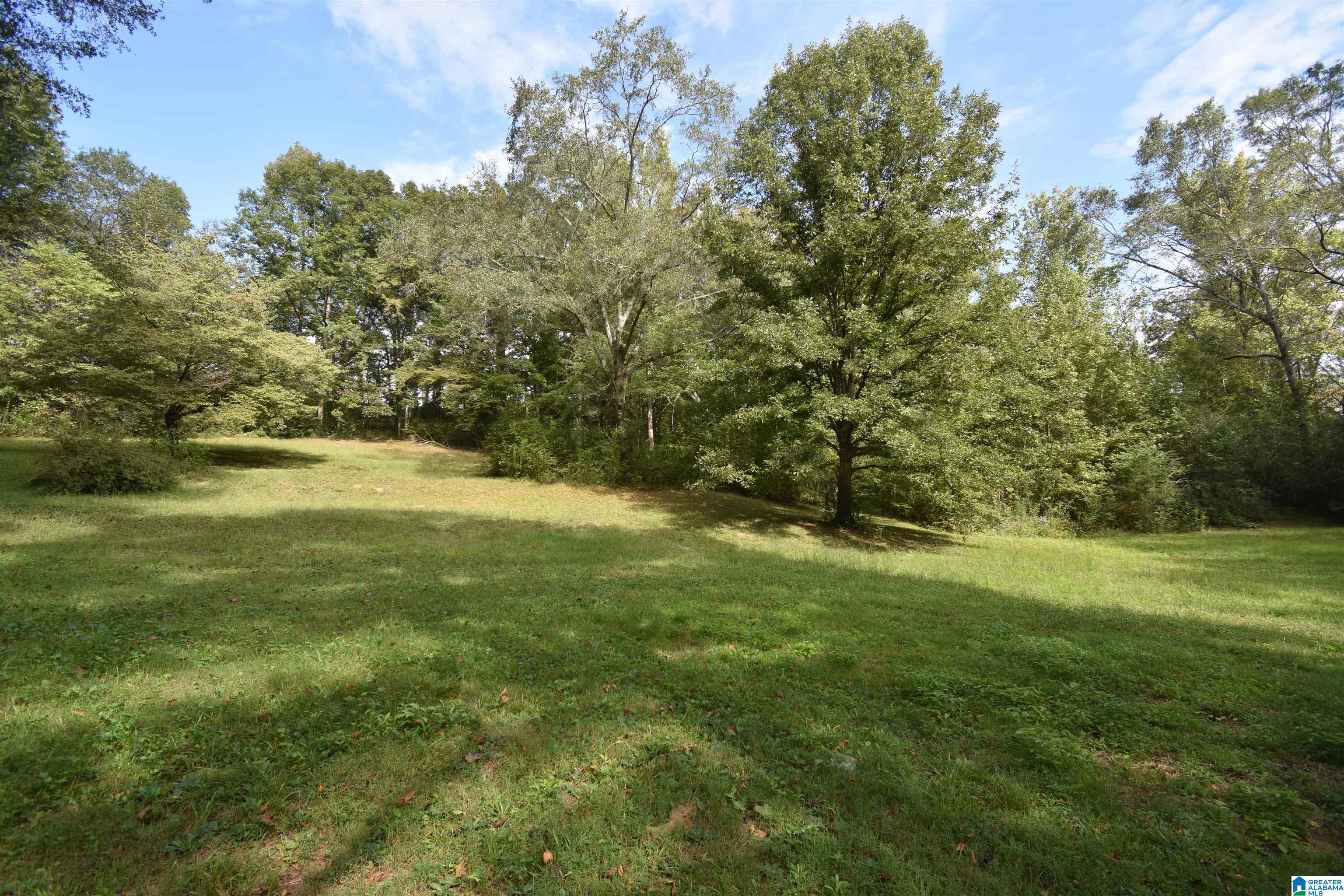 677 Old Walker Road Cleveland, AL 35049 - Photo 31 of 38