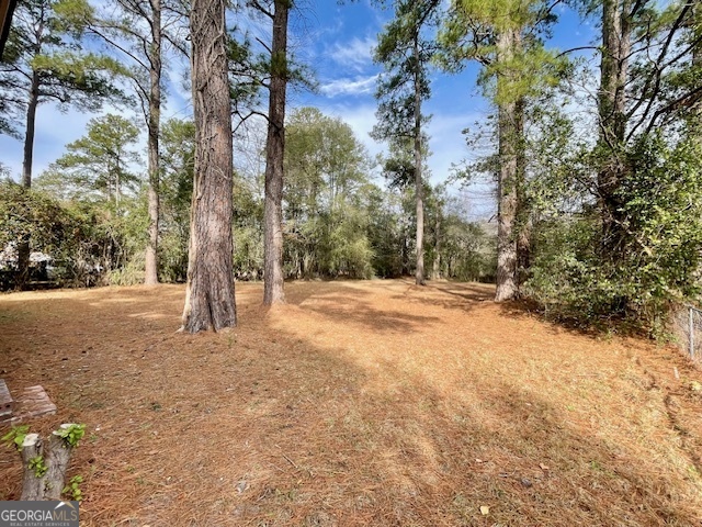 423 Richards Avenue Millen, GA 30442 - Photo 27 of 30