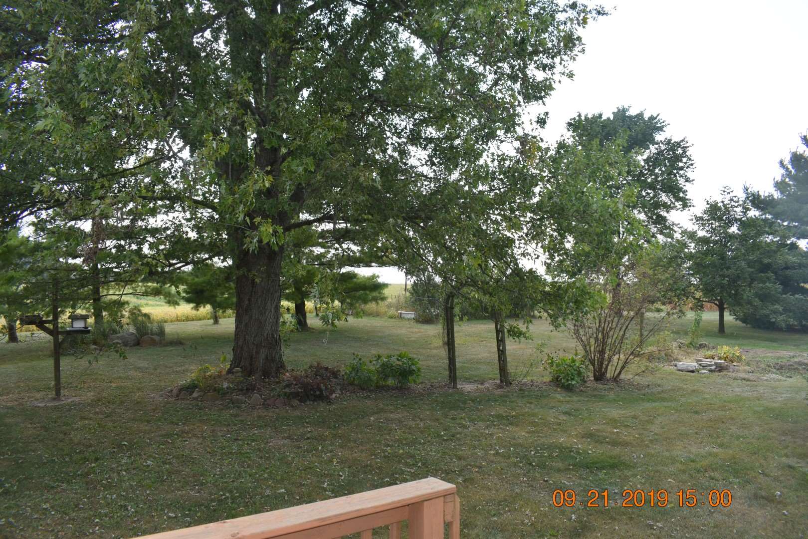 5573 Helm Road Williamsburg, IN 47393 - Photo 3 of 35