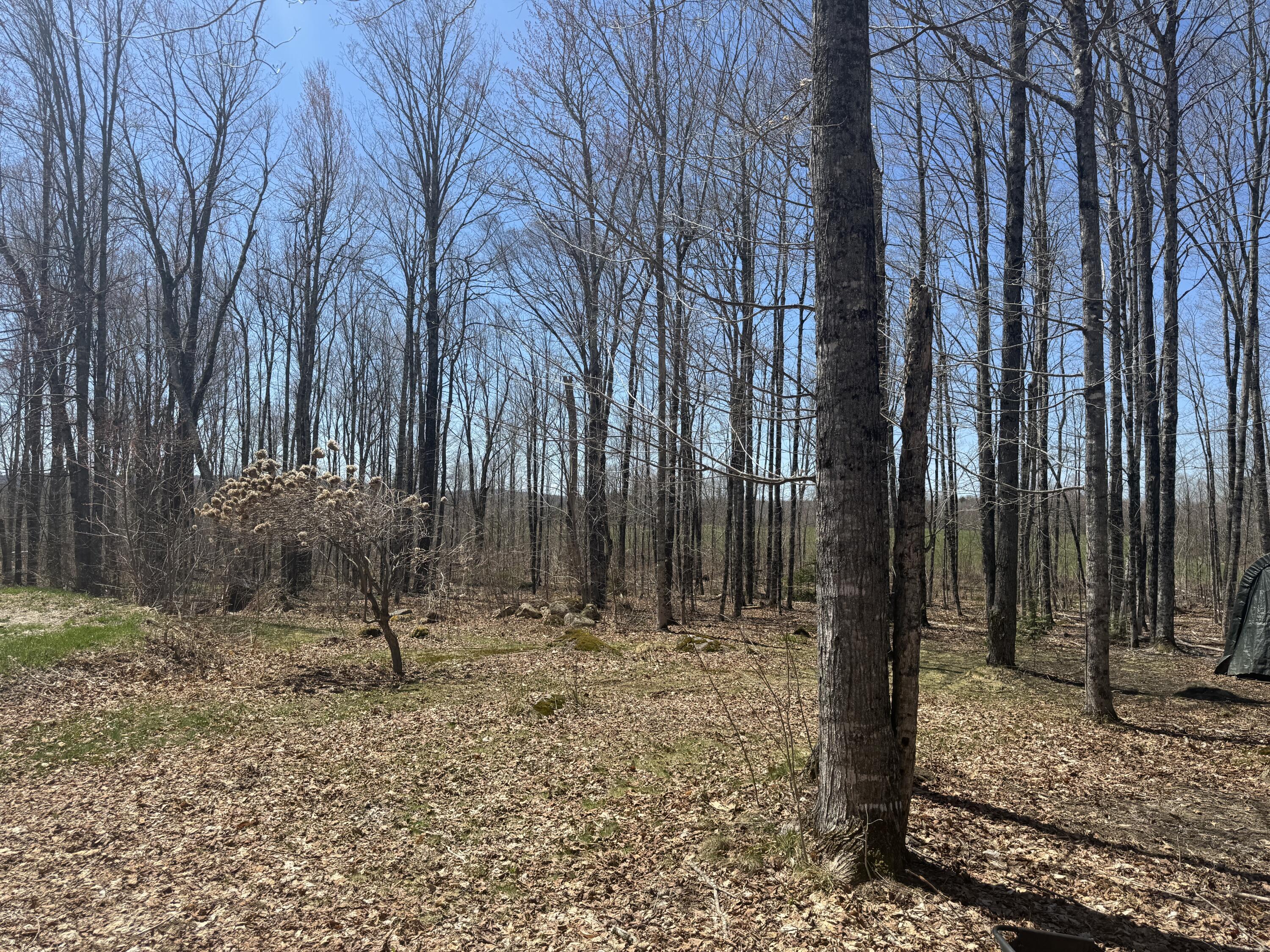 76 Norton Hill Road Dover-Foxcroft, ME 04426 - Photo 52 of 60 IMG_1631 2