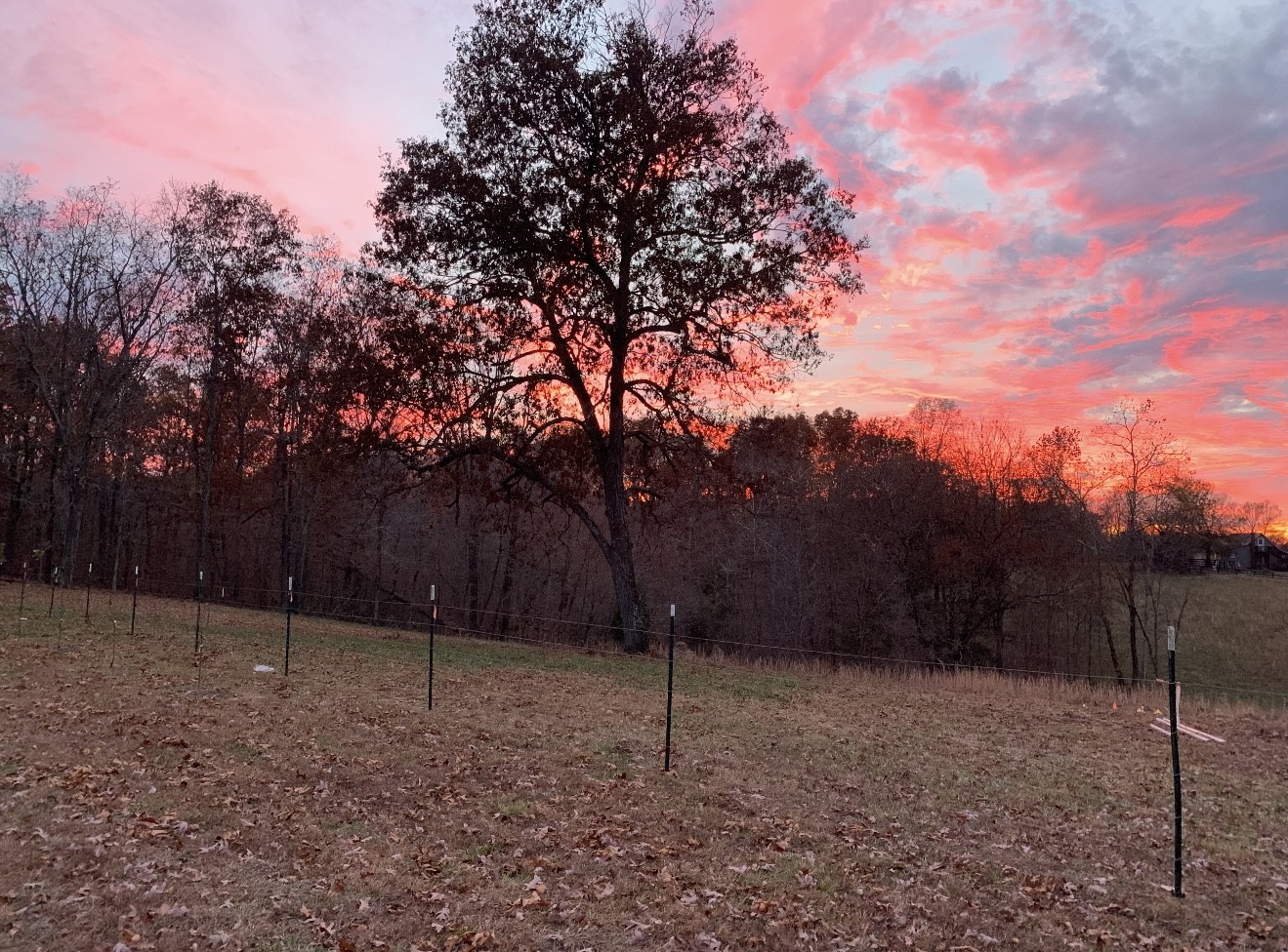 3395 Shouse Road Santa Fe, TN 38482 - Photo 50 of 73 a backyard of a house