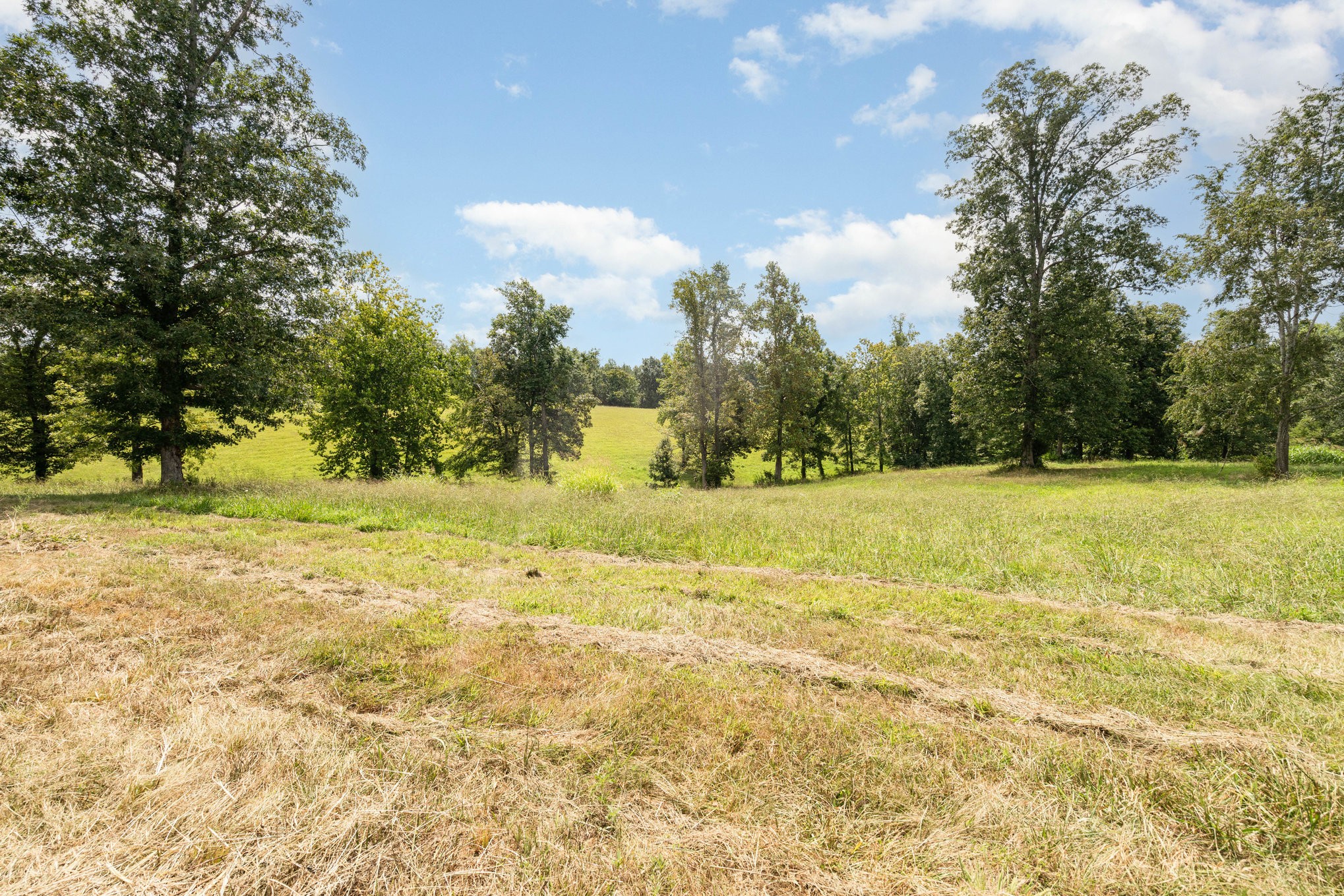 3395 Shouse Road Santa Fe, TN 38482 - Photo 58 of 73