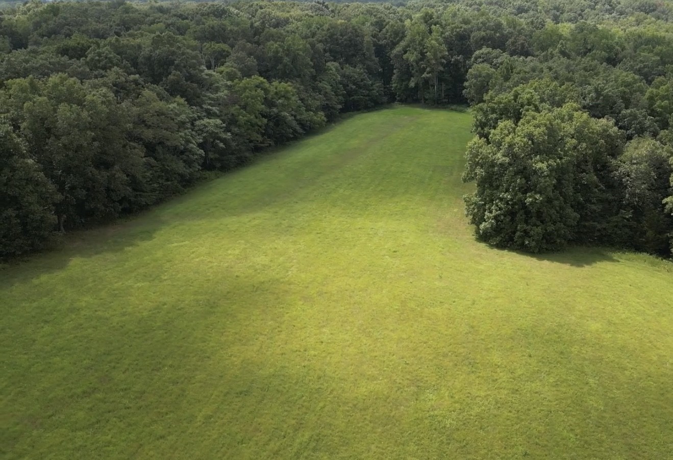 3395 Shouse Road Santa Fe, TN 38482 - Photo 59 of 73 a view of a big yard with plants