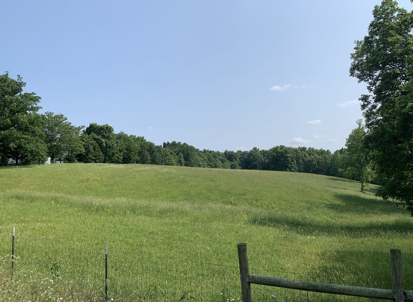 3395 Shouse Road Santa Fe, TN 38482 - Photo 60 of 73