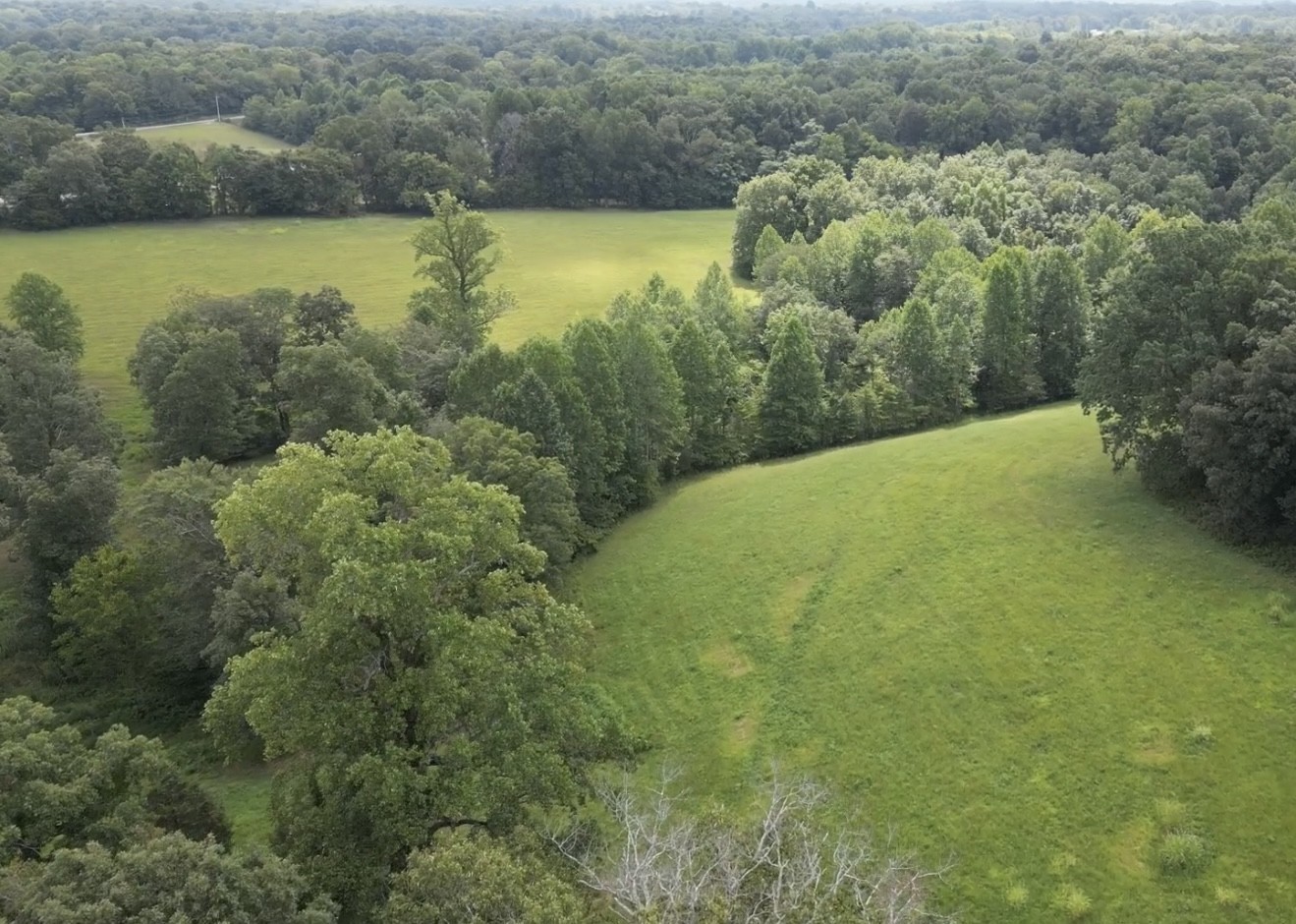 3395 Shouse Road Santa Fe, TN 38482 - Photo 62 of 73 a view of a lake with a houses