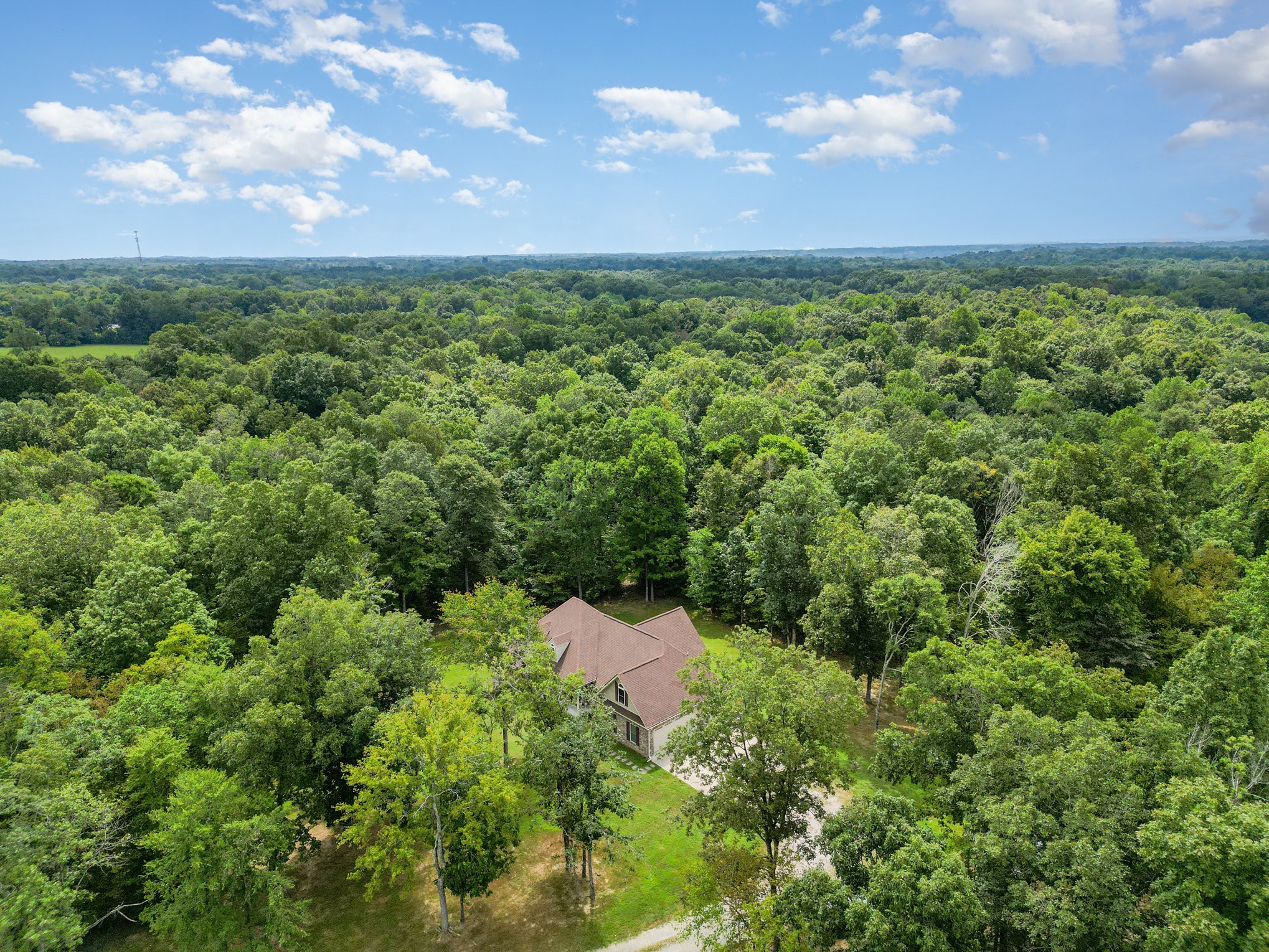3395 Shouse Road Santa Fe, TN 38482 - Photo 63 of 73 an aerial view of residential houses with outdoor space and trees