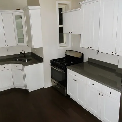 $459,000 | 1529 South Homan Avenue, Chicago, IL 60623