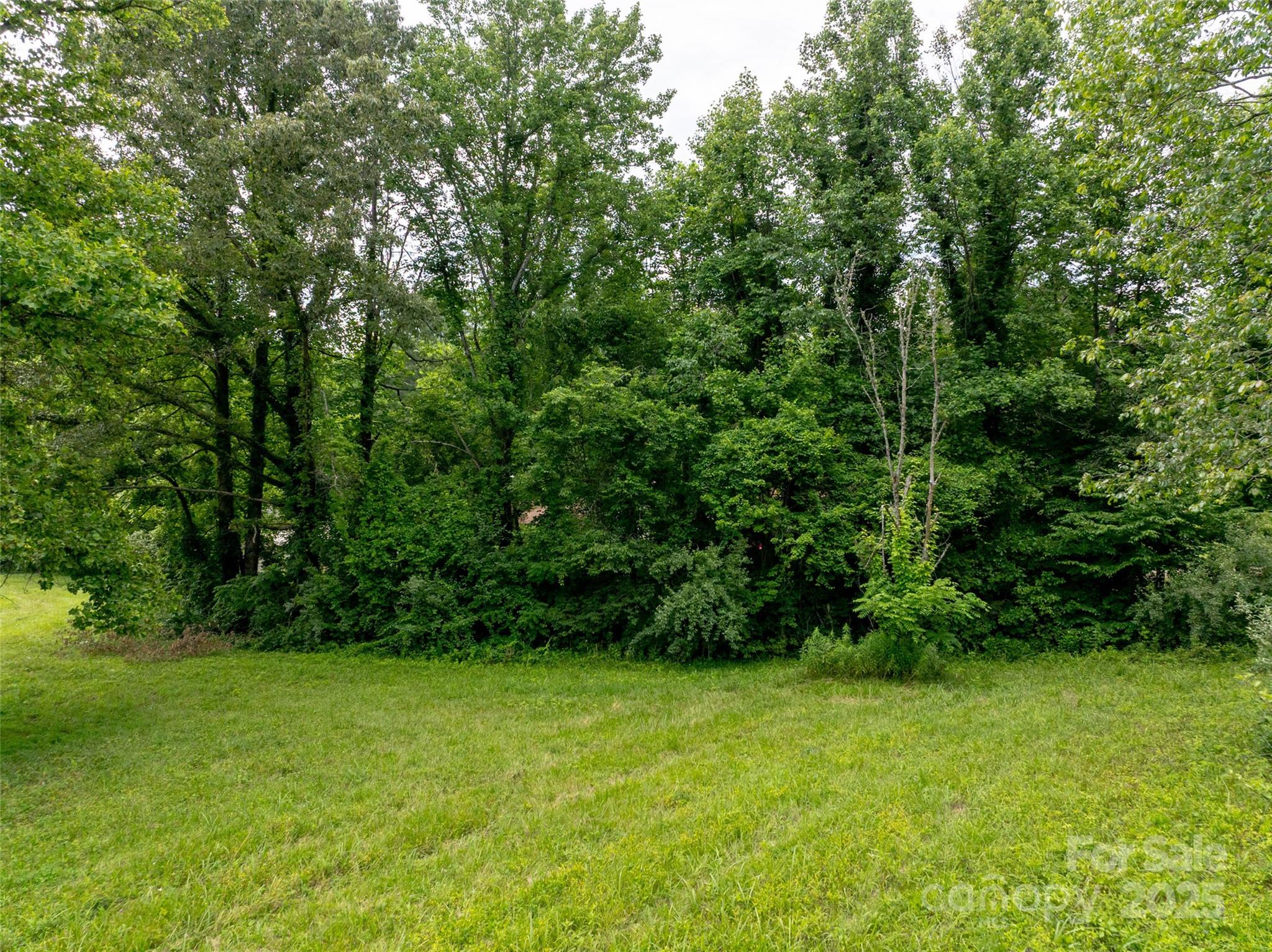 0 Open Valley Road Marion, NC 28752 - Photo 11 of 12 Gallery Image 11