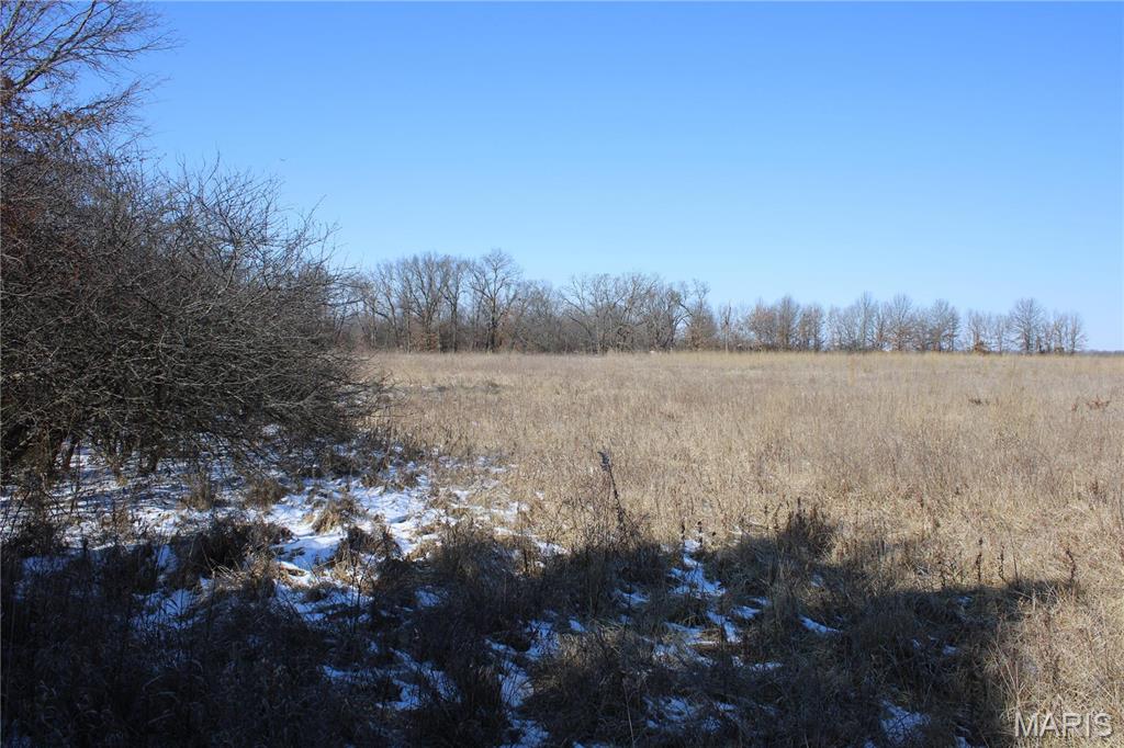 1 Highway 24 Madison, MO 65263 - Photo 3 of 5