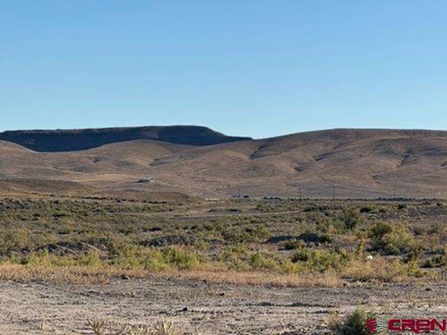 10 Hidden Mesa Road Austin, CO 81410 - Photo 17 of 34