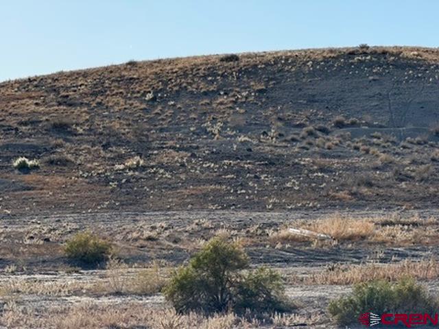 10 Hidden Mesa Road Austin, CO 81410 - Photo 20 of 34