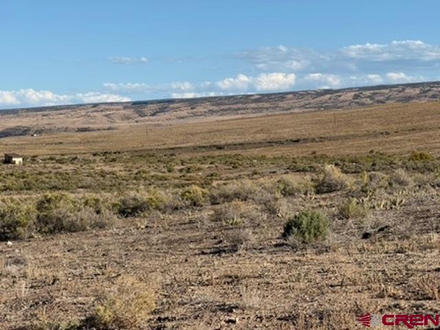 10 Hidden Mesa Road Austin, CO 81410 - Photo 27 of 34