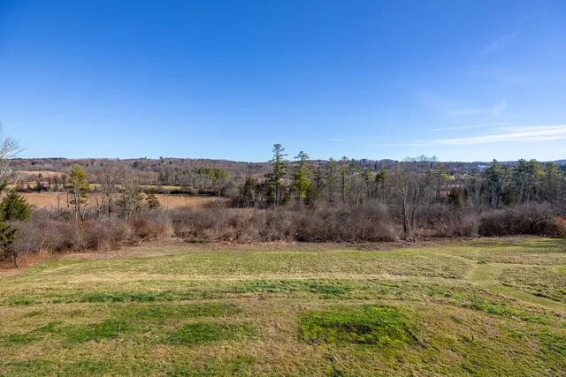a view of a field with an ocean