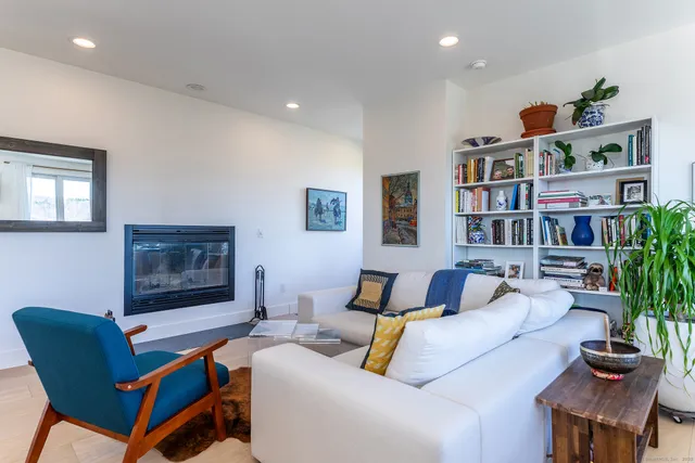 a living room with furniture and a potted plant