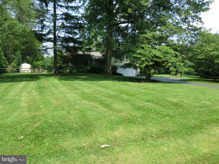 417 Wyndon Road Ambler, PA 19002 - Photo 4 of 25 Front Yard