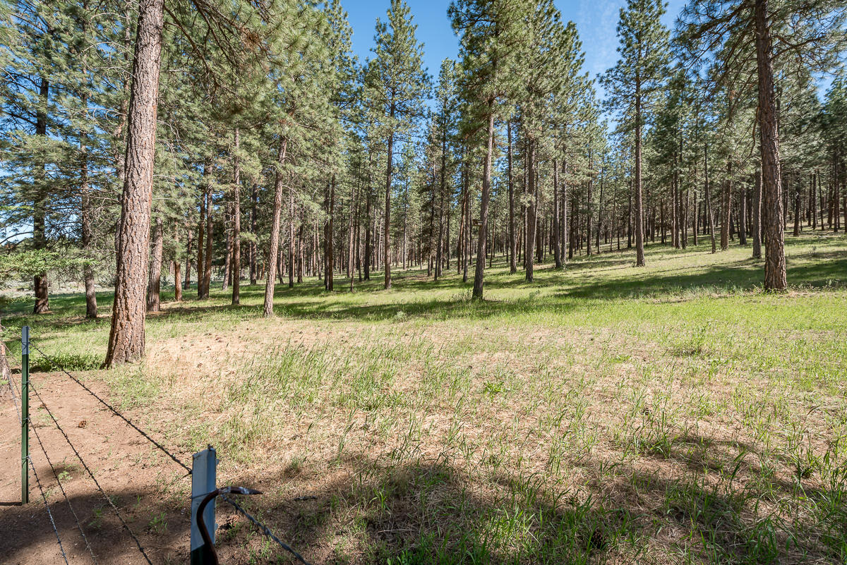 9996 West Langell Valley Road Bonanza, OR 97623 - Photo 35 of 45 9996WLangellValley-BGP-MLS-2664