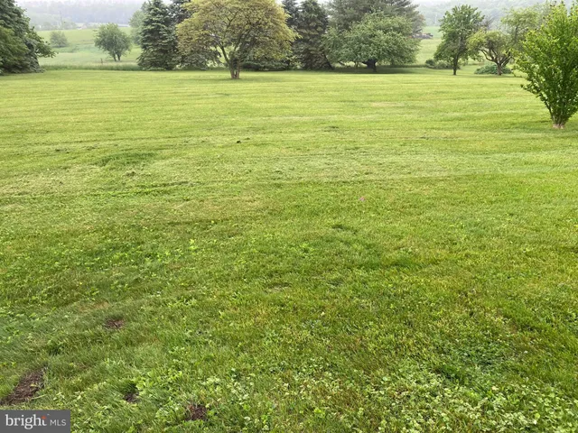 a view of a field with a tree in the background