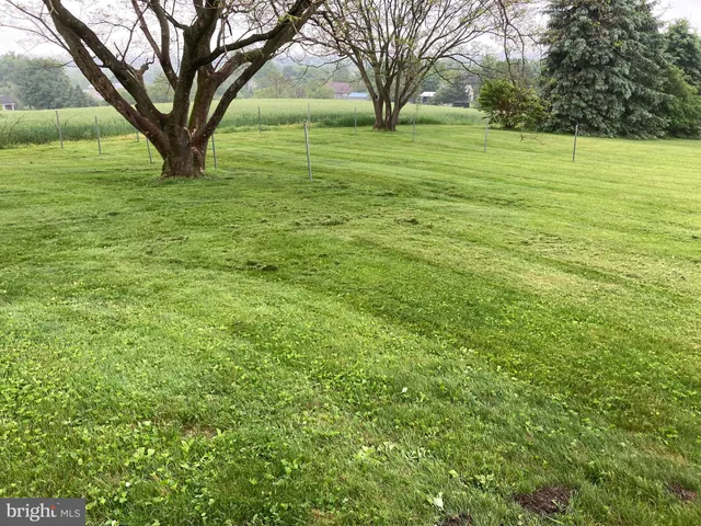 front view of house with a yard