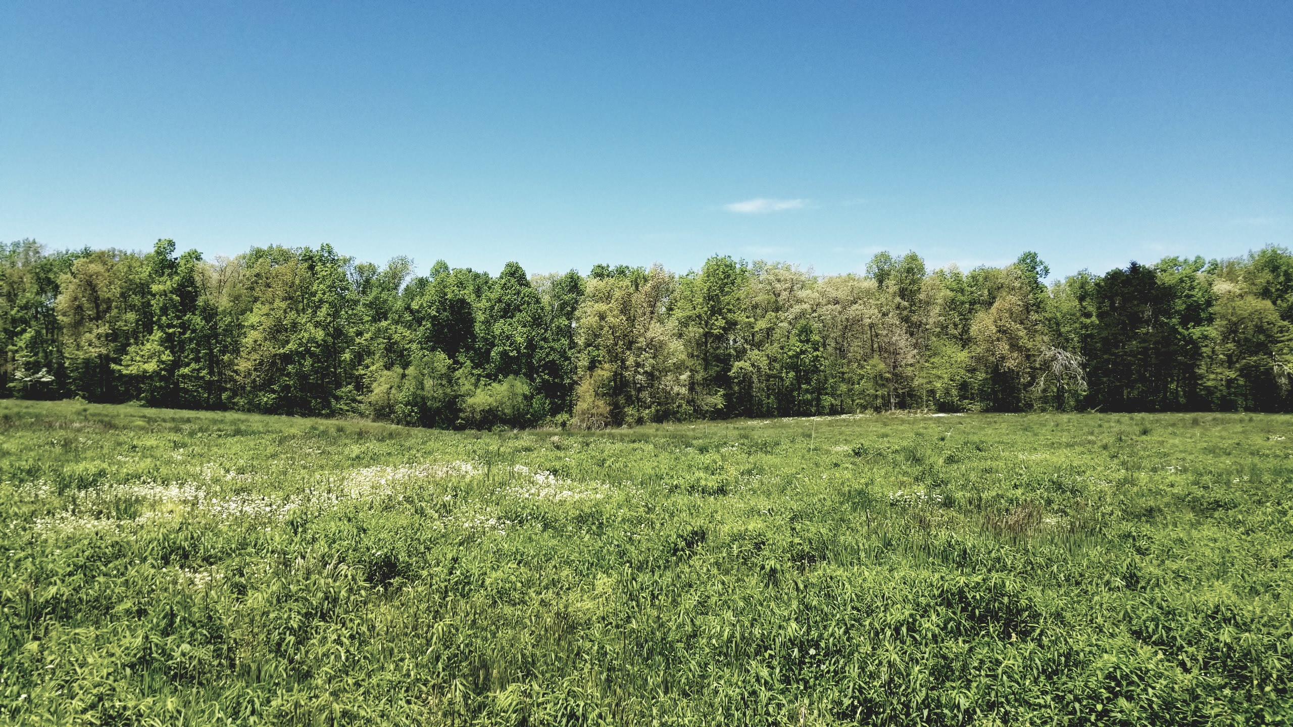 Plateau Road Crossville, TN 38571 - Photo 1 of 27 20210506_125041